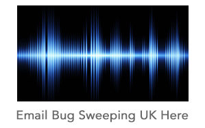 Bug sweep london_1